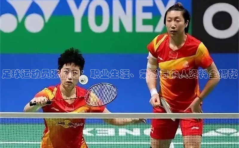 熊猫足球直播免费观看雷柏科技足球运动员张振阳：职业生涯、荣誉与个人资料全揭秘