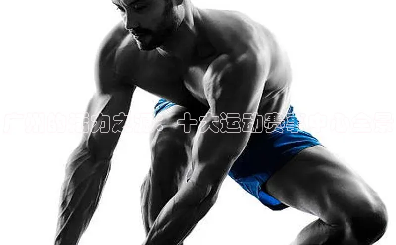 熊猫体育直播免费足球百度网盘企业版广州的活力之源：十大运动赛事中心全景