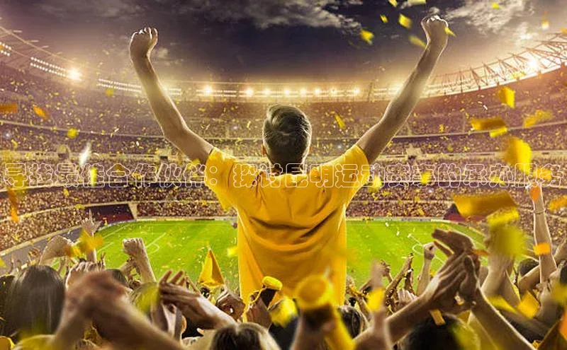 寻找最佳合作伙伴：探讨昆明运动赛事的承办服务