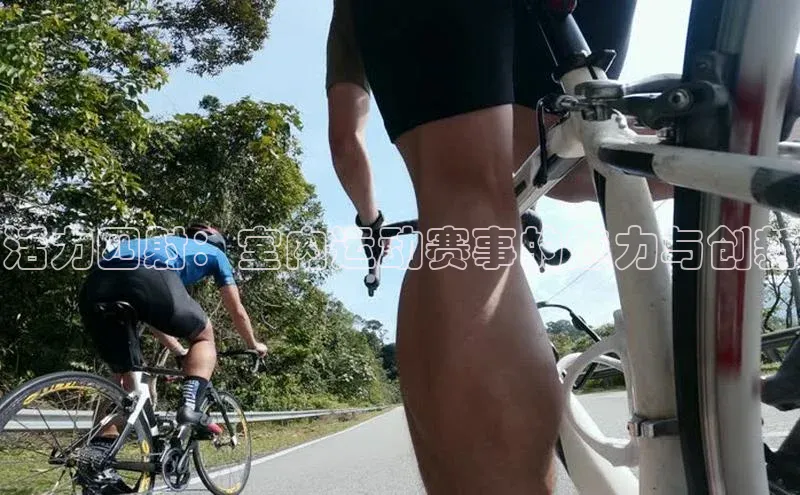 活力四射：室内运动赛事的魅力与创新