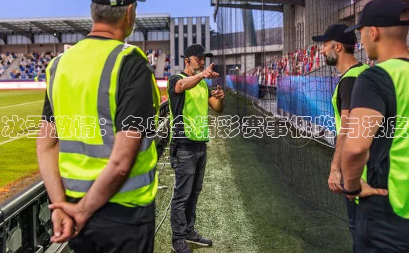 冰雪激情：冬奥会精彩赛事概览与深度