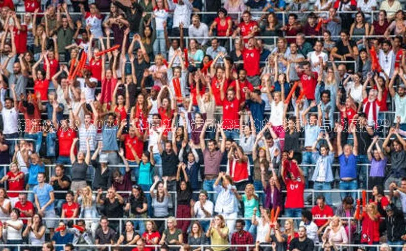 潮流对决：2023年中国热门运动赛事的精彩瞬间与发展趋势