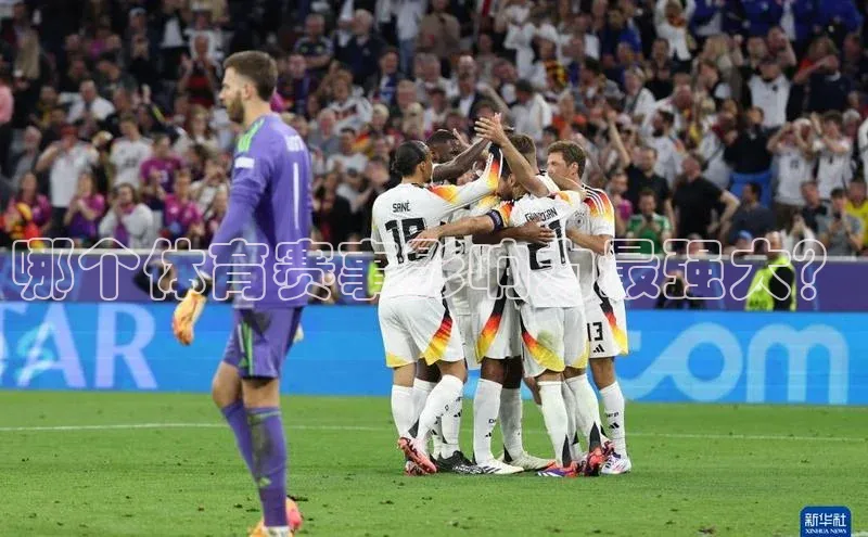 哪个体育赛事影响力最强大？