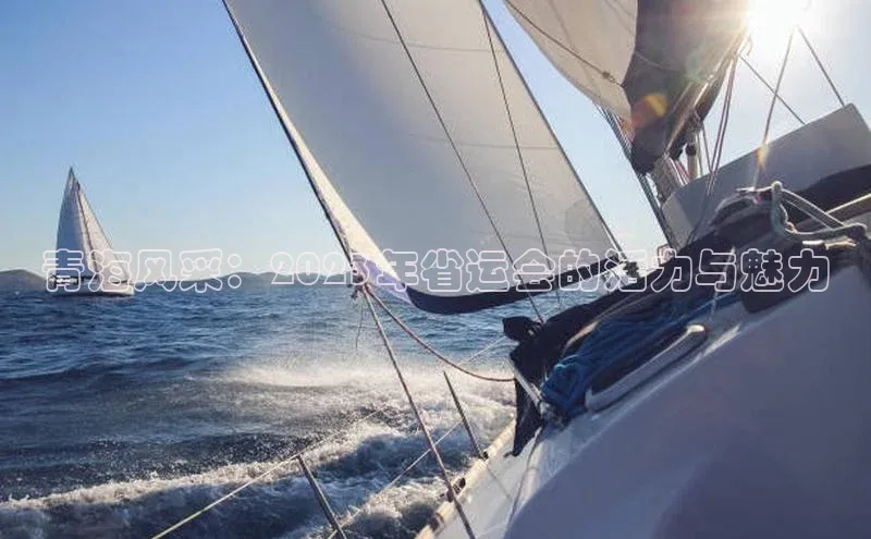 青海风采：2023年省运会的活力与魅力