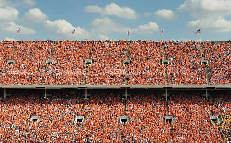 全球视野下的运动盛事：从奥运到世界杯，体育的力量与文化