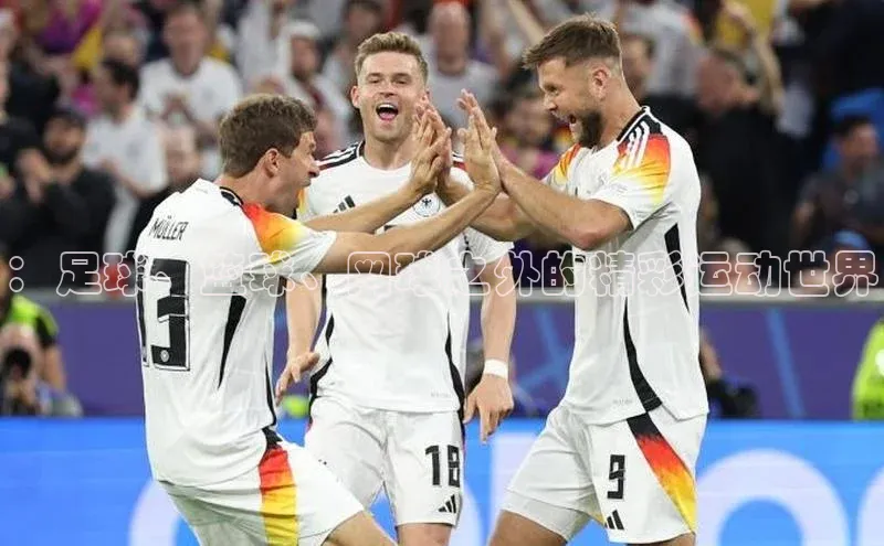 ：足球、篮球、网球之外的精彩运动世界