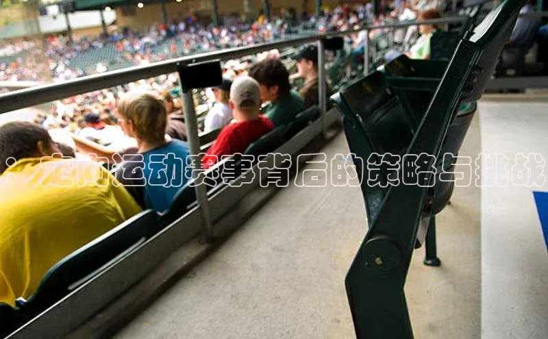 ：定向运动赛事背后的策略与挑战