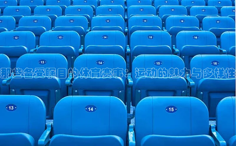 那些备受瞩目的体育赛事：运动的魅力与多样性