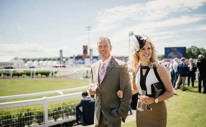 揽胜极限：2023年最新赛车赛事视频大全与高清图片赏析