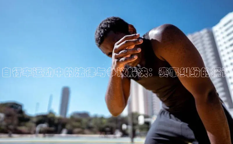 熊猫体育平台官网