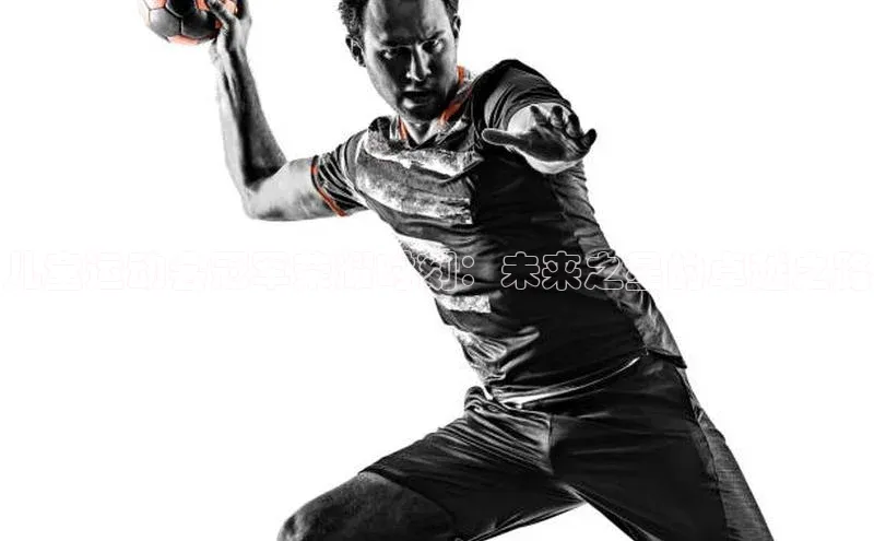 熊猫体育平台官网