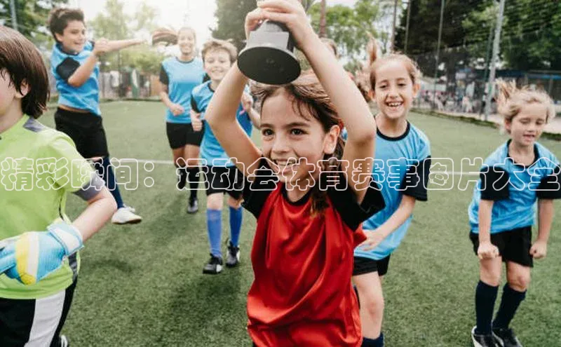 熊猫体育直播免费观看